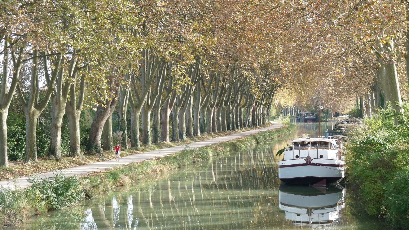 Le canal du midi, la voie royale en Languedoc
